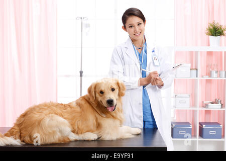 Giovani donne veterinario con un cane Foto Stock