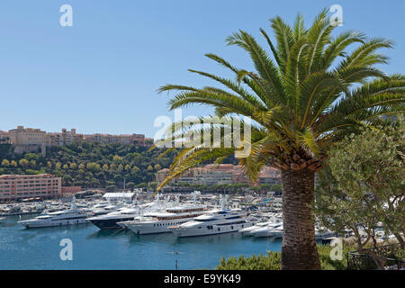 Porto e Monaco Ville, Principato di Monaco, Cote d'Azur Foto Stock