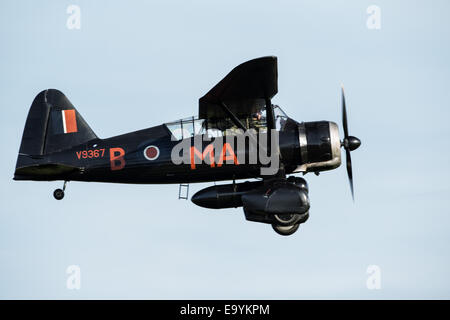 Westland Lysander aeromobile in squadrone speciale livrea utilizzato a terra gli agenti in Francia occupata volare alla Shuttleworth fiducia Foto Stock