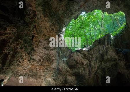 Dominikanische Republik, Osteno, Sabana de la Mar, Nationalpark Los Haitises, Cueva de la linea Foto Stock