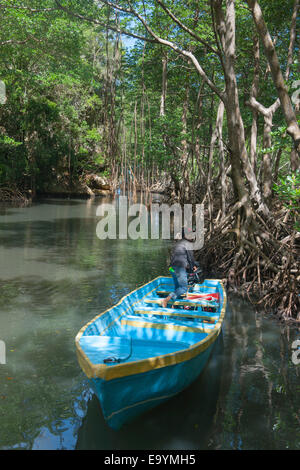 Dominikanische republik, Osteno, Sabana de la Mar, nationalpark Los Haitises, boot im kanal zur höhle cueva de la linea Foto Stock