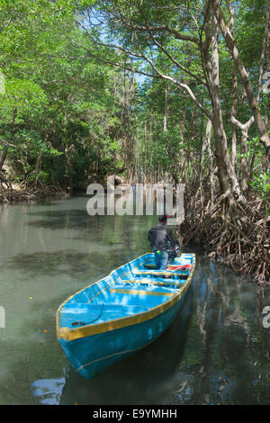 Dominikanische republik, Osteno, Sabana de la Mar, nationalpark Los Haitises, boot im kanal zur höhle cueva de la linea Foto Stock