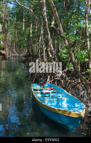 Dominikanische republik, Osteno, Sabana de la Mar, nationalpark Los Haitises, boot im kanal zur höhle cueva de la linea Foto Stock