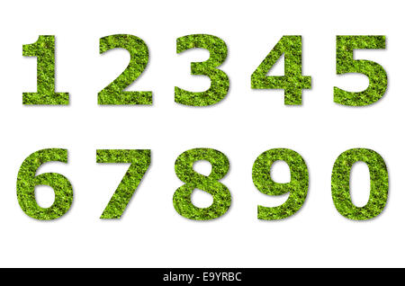Valore numerico arabo di lichene verde isolato su bianco Foto Stock