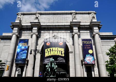 New York: le imponenti est davanti al Museo Americano di Storia Naturale su Central Park West a West 79th Street Foto Stock