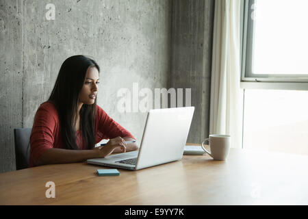 Donna che utilizza portatile a casa Foto Stock