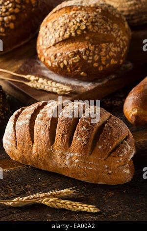 Appena sfornato il pane di segale su uno sfondo Foto Stock