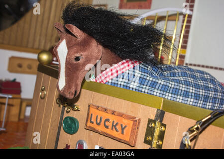 Un felice cercando di miniatura, modello chiamato cavallo Lucky guardando fuori della sua stabile. Foto Stock