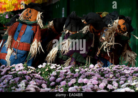 Lo Spaventapasseri è visualizzato durante un Halloween, festival di zucca. La Staten Island. New York. Stati Uniti d'America. Raccolta zucche a Decker Farm featur Foto Stock