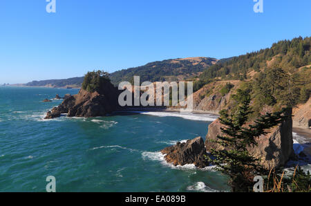 La Oregon Coast - guardando a nord da Arch Rock Area picnic, Oregon Coast Trail. Foto Stock