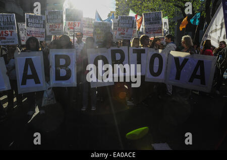 Buenos Aires, Buenos Aires, Argentina. 4 Novembre, 2014. Pro e contro l'aborto gruppi dimostrare di fronte al Congresso come la legislazione penale Comitato inizia a discutere la possibilità di una legge che permetterebbe a legale, libero e sicuro aborti in ospedali pubblici. Tra 450000 e 600000 aborti clandestini sono eseguite in Argentina ogni anno, per la maggior parte sotto condizioni non sicure, causando l'aborto per essere la prima materna causa di morte. Credito: Patricio Murphy/ZUMA filo/Alamy Live News Foto Stock