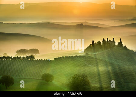 Sunrise oltre i campi verdi in Toscana Foto Stock