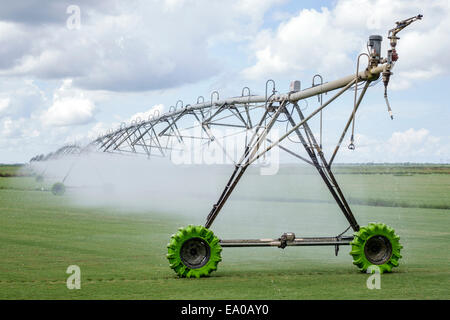 Indiantown Florida, attrezzatura di irrigazione a perno centrale, centro, automatizzato, fattoria di erba, irrigazione, acqua, FL140803065 Foto Stock