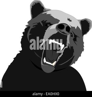 Vettore orso arrabbiato illustrazione su sfondo bianco Illustrazione Vettoriale