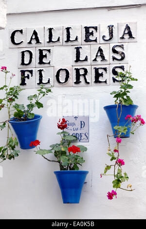 Un cartello stradale e fiori, Calleja de las Flores, Córdoba, Andalusia, Spagna Foto Stock