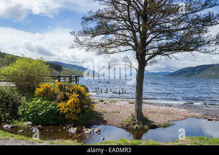 Guardando verso il basso lago di Loch Ness da Dores, vicino a Inverness, Highland, Scotland, Regno Unito Foto Stock