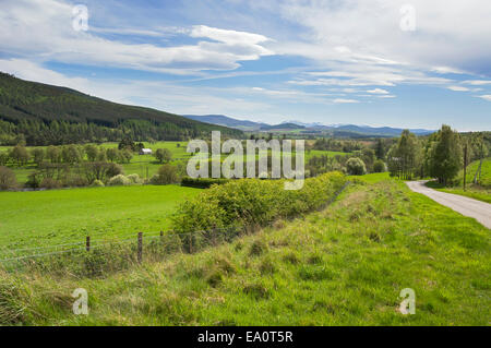 Strath Spey Valley vicino a Grantown on Spey, Highland, Scotland, Regno Unito Foto Stock