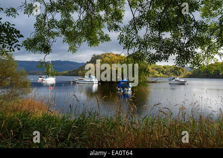 Loch Lomond;; Trossachs; nazionale; Parco; Aldochlay; Isola; Inchtavannach; barche; Scozia, Regno Unito Foto Stock