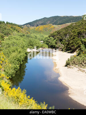 Binario ferroviario fino Taieri Gorge Nuova Zelanda Foto Stock