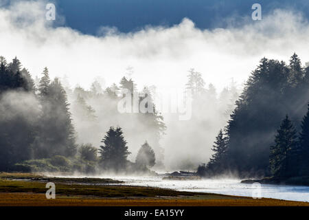 Un inizio di mattina nebbia sorge sul fiume e la foresta pluviale costiera dell'Tongass National Forest nel sud-est dell Alaska, Stati Uniti d'America. Foto Stock