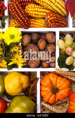 Autunno in un box - Frutti, bacche, dadi, fiori di mais e di zucche Foto Stock