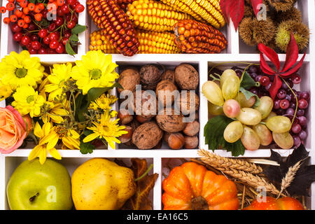 Autunno in un box - Frutti, bacche, dadi, fiori di mais e di zucche Foto Stock