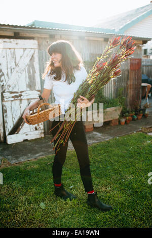 Donna raccolta homegrown fiori nel giardino Foto Stock