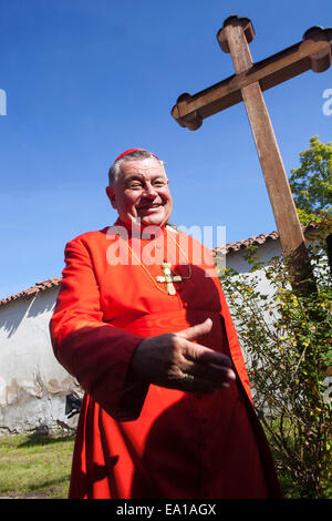 Dominik Duka è la trentaseiesima arcivescovo di Praga e un Cardinale di Santa Romana Chiesa a Stará Boleslav, Repubblica Ceca Foto Stock