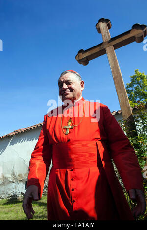 Dominik Duka è la trentaseiesima arcivescovo di Praga e un Cardinale di Santa Romana Chiesa a Stará Boleslav, Repubblica Ceca Foto Stock