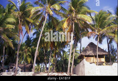 ZANZIBAR Foto Stock