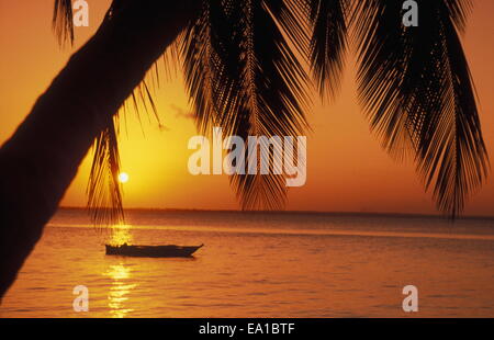 ZANZIBAR Foto Stock