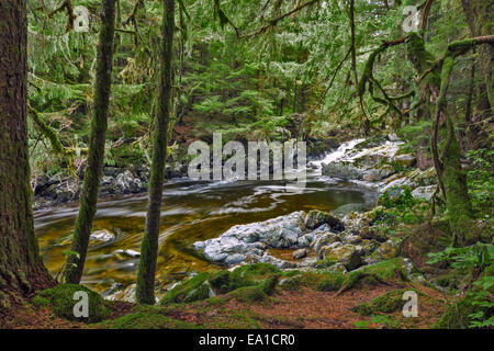 Un fiume della costiera temperata foresta pluviale, Tongass National Forest, Alaska, Stati Uniti d'America. Foto Stock