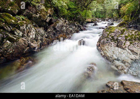 Un fiume della costiera temperata foresta pluviale, Tongass National Forest, Alaska, Stati Uniti d'America. Foto Stock