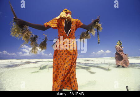 ZANZIBAR Foto Stock