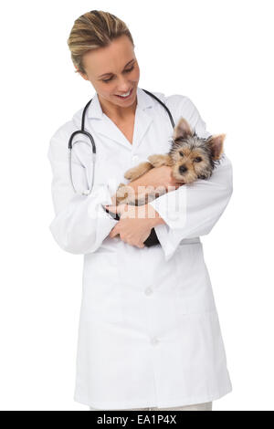 Felice vet holding Yorkshire terrier cucciolo Foto Stock