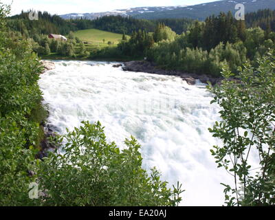 Cascate di Laksforsen Nel Nordland - Norvegia Foto Stock