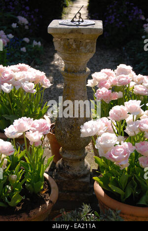 Orologio solare giardino Foto Stock