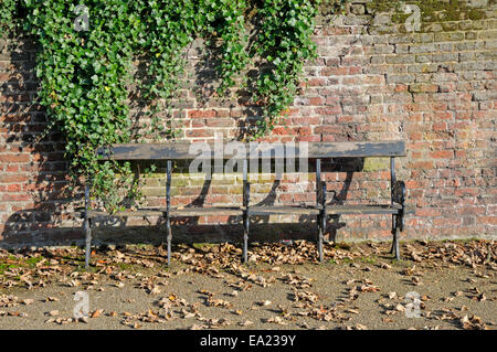 Londra, Inghilterra, Regno Unito. Banco vuoto in Hampstead - autunno Foto Stock