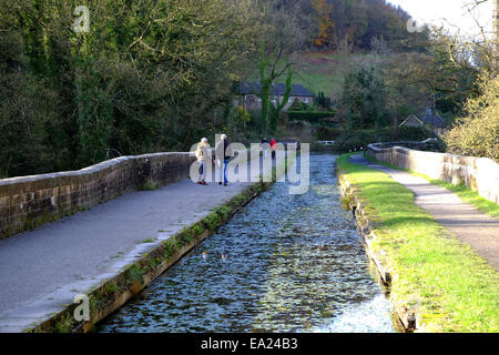 Cromford Canal, Derbyshire, Regno Unito. 5 Novembre, 2014. Luminose peperoncino autunno Meteo per cane per camminatori ed escursionisti ,lungo il canale di cromford. Credito: IFIMAGE/Alamy Live News Foto Stock