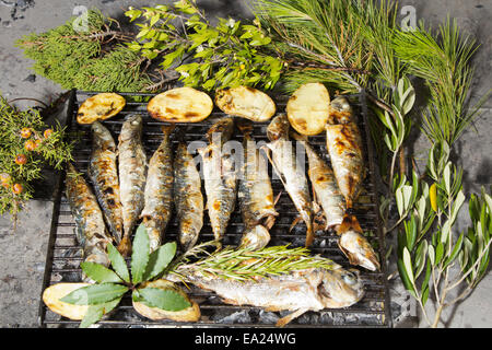 Fresco e mediterraneo sgombro pesci con BBQ Foto Stock