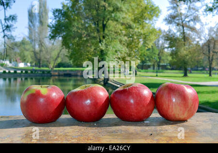Quattro le mele in posizione orizzontale nel frutteto Foto Stock