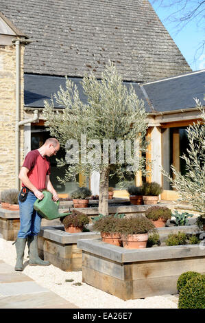 Un giardiniere irrigazione letti sollevata di erbe presso il ristorante una scuola di cucina - Il timo a Southrop Manor Estate, GLOUCESTERSHIRE REGNO UNITO Foto Stock