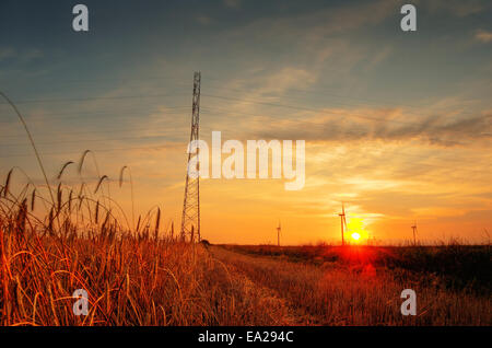 HDR foto del tramonto sul campo. Foto Stock