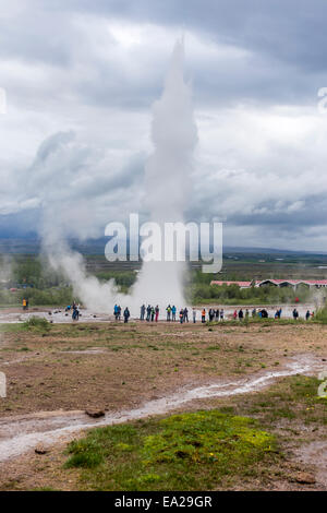 Strokkur islandese per 'La Churn' è un geyser nella regione geotermica accanto al fiume Hvítá in Islanda Foto Stock