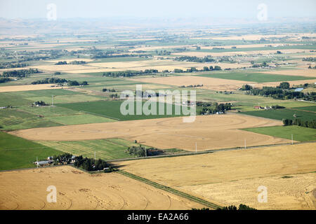 Una veduta aerea di terreni agricoli e perno di irrigazione sprinkler i campi. Foto Stock