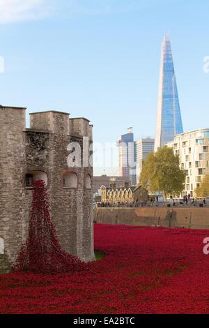 Londra, Regno Unito. 04 Nov, 2014. Londra segna il centenario dello scoppio della Prima Guerra Mondiale, con 888,246 papaveri in ceramica di riempimento del fossato della Torre di Londra. Credito: Paolo McCabe/Alamy Live News Foto Stock