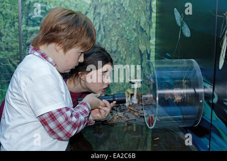 Ragazzo e ragazza alla bat center 'Noctalis', Bad Segeberg, Schleswig-Holstein, Germania Foto Stock