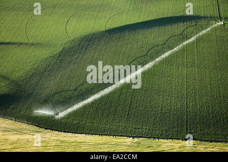 Una veduta aerea di un perno centrale del sistema sprinkler Foto Stock