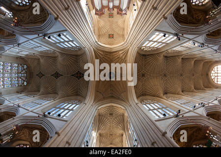 Il bellissimo e delicato ventilatore soffitto a volte di Abbazia di Bath in bagno, Somerset Foto Stock