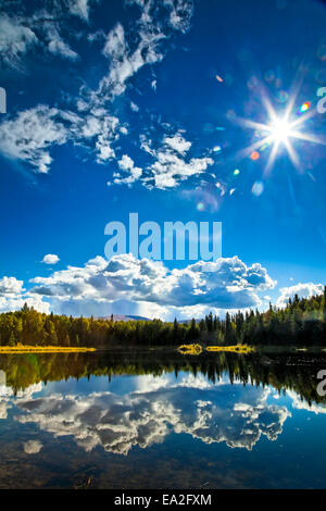 Le nuvole e la foresta boreale riflettere su 48 Mile Pond, Chena River State Recreation Area; Fairbanks, Alaska, Stati Uniti d'America Foto Stock